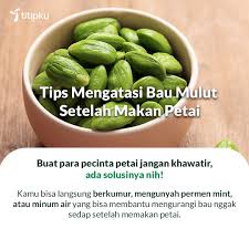 Cara Menghilangkan Bau Jengkol Atau Pete Di Dalam Kulkas Pakai Arang